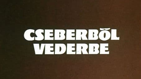 From one bucket into another