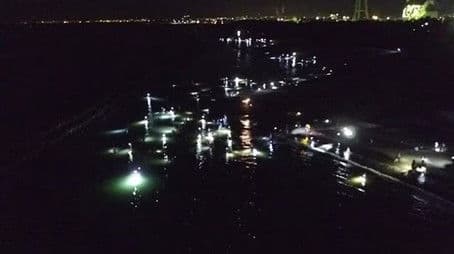 Spring Japan Sea: Waiting for Firefly Squid”