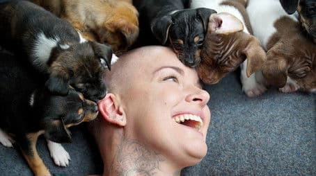 Amanda's Hitchhiking Hounds