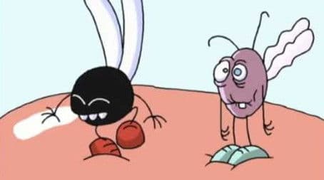 Superfeast at the Supermarket