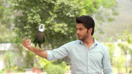 A New Challenge for Aman