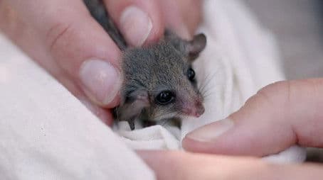 Episode 5 Seed Saving & Sustainable Straw Bale House