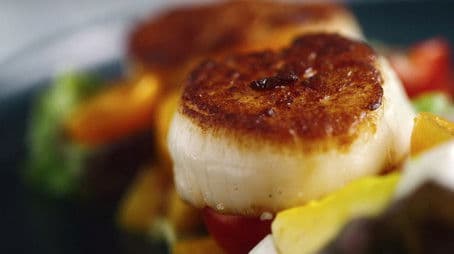 How taste works 1 - We are salt and umami