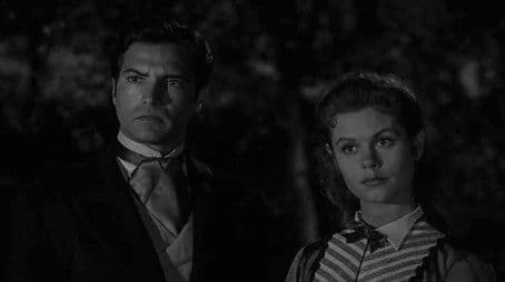 The Vittorio Bottecelli Story