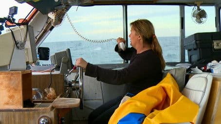 Salty Gals and Southern Nights