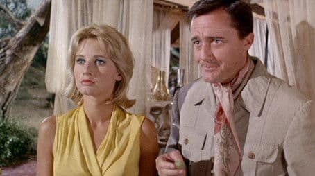 The Tigers are Coming Affair