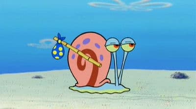 Have You Seen This Snail?