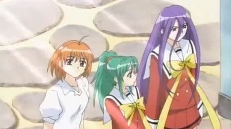 Petals Fully Blooming!