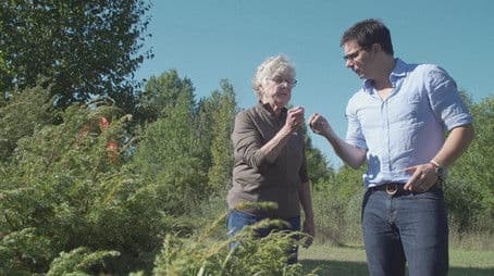 Death’s Door | Juniper Harvest