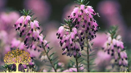 Winter Specials 2022/23: Episode 3