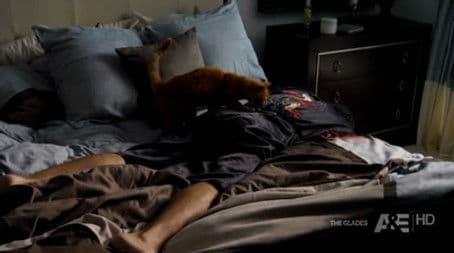 The Girlfriend Experience