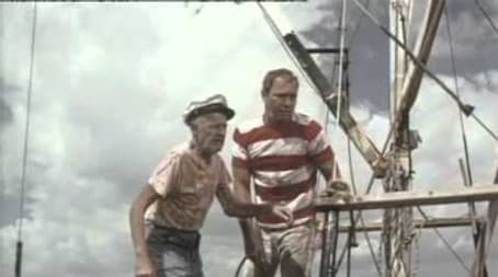 Flipper and the Fugitive (2)