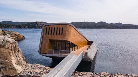 Upside Down & Under Sea