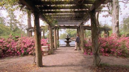 Joey Potter and the Capeside Redemption