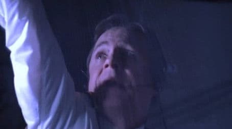 Being Mrs. O'Leary's Cow