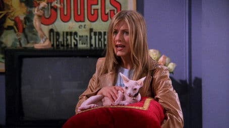 The One with the Ball