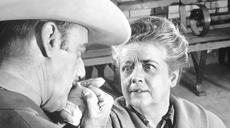 Aunt Bee's Medicine Man