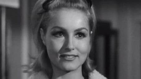 Give an Old Cat a Tender Mouse