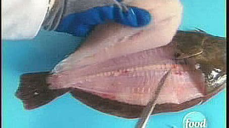 Flat is Beautiful III - Flounder