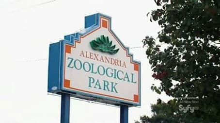 Don't Feed The Apparition