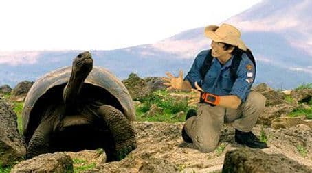 Giant Tortoises