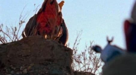 Night of the Shriekers