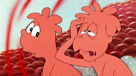 The Bones and the Skeleton