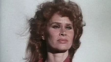 Confessions of a Lady Cop