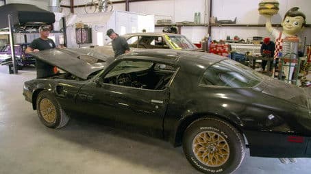 '77 Trans Am Bird in Black