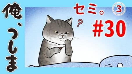 WEB Animation - #30 Cicada (3)