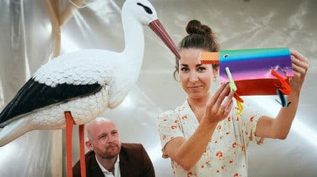 Where are the aubergines?