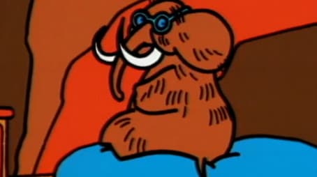 In India con il tappeto volante