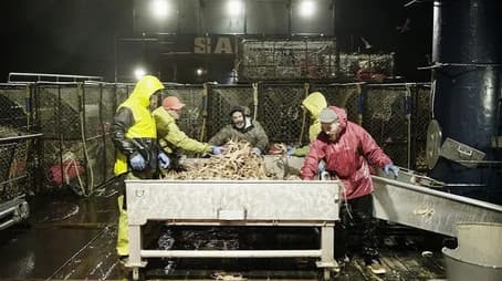 Blood Is Thicker Than Water