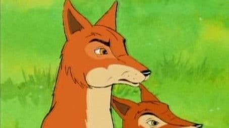 Adventure For The Birds