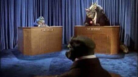 And The Winner Is...