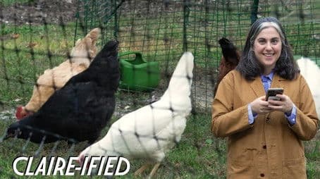 Claire Saffitz Answers Your Baking Questions