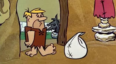 Wilma's Vanishing Money