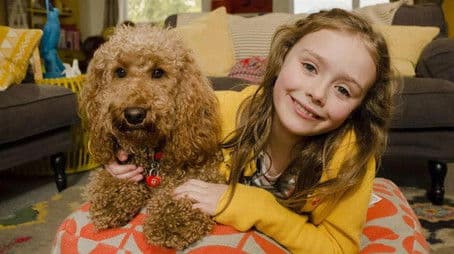 Waffle and the Birthday Wish