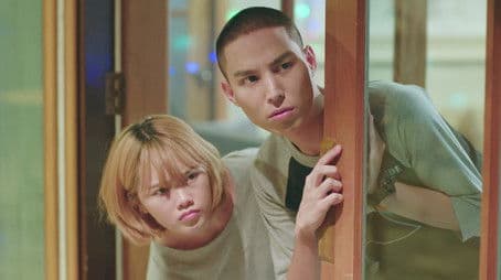 Fake Black Sheep, Part 2