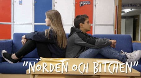 The Nerd and The Bitch