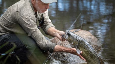 Return of the Outback Beast