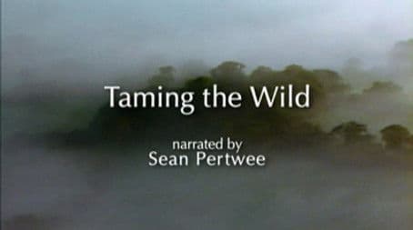 Taming the Wild