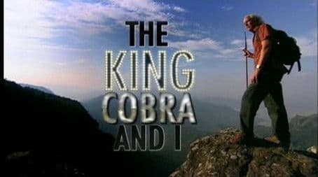 The King Cobra and I
