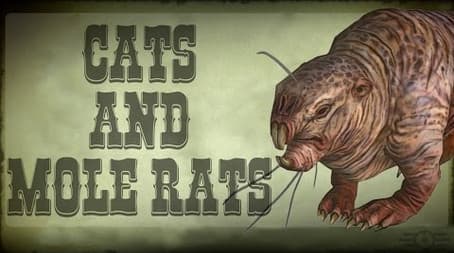 Cats and Mole Rats