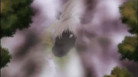 The Mysterious Person at the Eight Fields