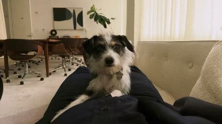 The Pryce Is Wrong II