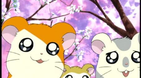 The Blossoms Of Friendship!