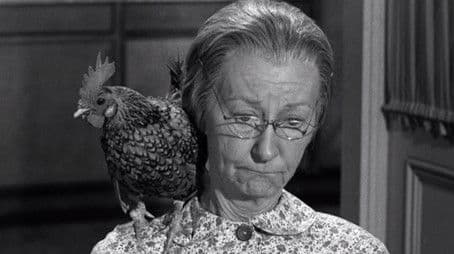 The Clampetts Entertain