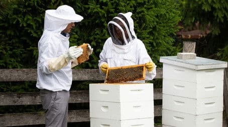 Beekeeping