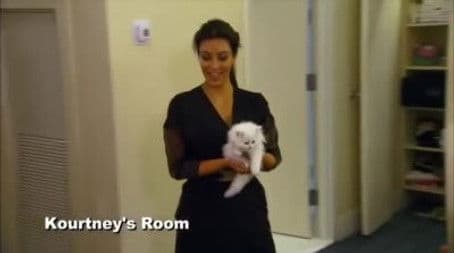 Welcome Back to Miami